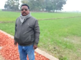 प्रधान जी के दावे-वादे: फरेंदा ब्लॉक की साल्दाह पंचायत के प्रधान से खास बातचीत – Pharenda News