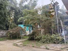 चीनीमिल से उड़ रही राख-बगास से ग्रामीण परेशान:मुंडेरवा में लोग श्वास संबंधी बीमारियों की चपेट में, शिकायतें अनसुनी