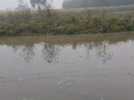 नहर टूटने से किसानों की फसलें बर्बाद:सौरहा के सिकरी रैकवार में खेत जलमग्न, समस्या के समाधान की मांग