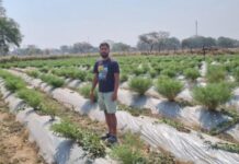 रासायनिक उर्वरकों का कम उपयोग और प्राकृतिक व जैविक खेती को कर रहें प्रोत्साहित