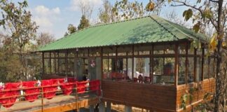 प्रकृति की गोद में रोमांच- मोहरेंगा नेचर सफारी