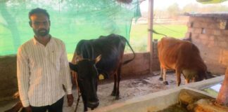 डेयरी योजना बदल रही है धनमती की तकदीर