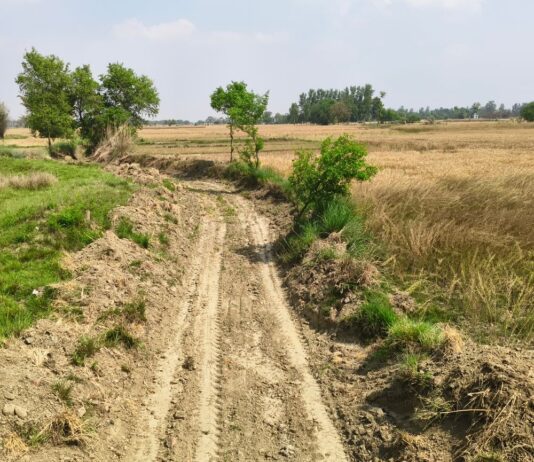सूखे में छोटी नहर की सफाई शुरू:पशुओं और किसानों को मिलेगा पानी का लाभ