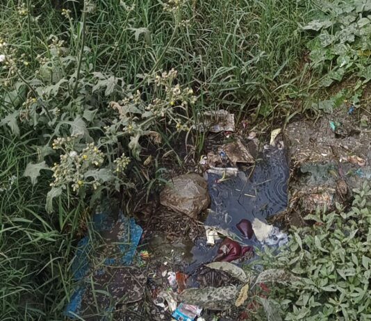 सिंदुरिया में नाली जाम, संक्रामक बीमारियों का खतरा:सफाई न होने से ग्रामीणों में आक्रोश, घरों में बरसात के दिनों में घुस जाता है गंदा पानी