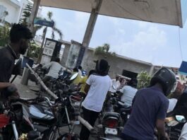 कैसरगंज में डीज़ल संकट, किसान परेशान:कटाई के समय ईंधन की कमी से फसल और सिंचाई प्रभावित