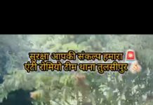 *अपर पुलिस अधीक्षक बलरामपुर द्वारा चैत्र नवरात्रि के दृष्टिगत आदिशक्ति माँ पाटेश्वरी देवी मंदिर, तुलसीपुर में सुरक्षा व्यवस्था का किया गया निरीक्षण*