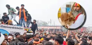 जिस ट्रक से कुचल कर गौ-रक्षक फरसा बाबा की गई जान, उसके चालक की भी हो गई मौत! मथुरा पुलिस का दावा