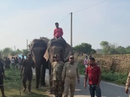 कतर्नियाघाट में वन विभाग ने शुरू की हाथी पेट्रोलिंग:तेंदुए के हमलों के बाद ग्रामीणों में बढ़ा सुरक्षा का भरोसा