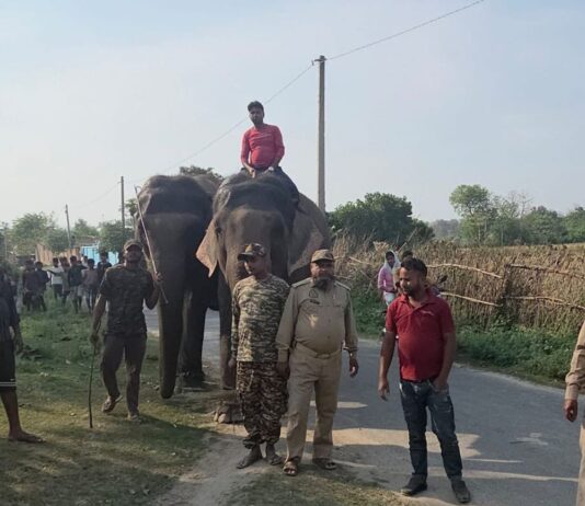 कतर्नियाघाट में वन विभाग ने शुरू की हाथी पेट्रोलिंग:तेंदुए के हमलों के बाद ग्रामीणों में बढ़ा सुरक्षा का भरोसा
