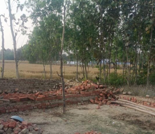 एसडीएम नानपारा ने सरकारी जमीन से हटाया अवैध कब्जा:मोनालिसा जौहरी ने शिकायत पर तुरंत कार्रवाई कर श्मशान भूमि कराई मुक्त