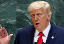 ‘कायर’, अब नाटो देशों पर बरसे ट्रंप, कहा- अमेरिका के बिना कागजी शेर हैं