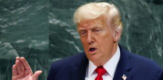 ‘कायर’, अब नाटो देशों पर बरसे ट्रंप, कहा- अमेरिका के बिना कागजी शेर हैं