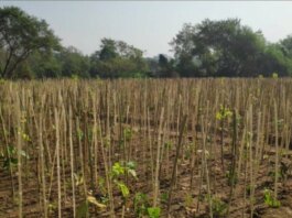 महाराष्ट्र – अप्रैल 2026 में ‘स्पेशल डिजिटल फार्मिंग स्कूल’