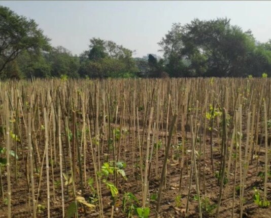 महाराष्ट्र – अप्रैल 2026 में ‘स्पेशल डिजिटल फार्मिंग स्कूल’