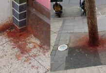 दो भारतीय ने गुटखा खाकर सड़क पर बना दी ‘रंगोली’, 3 लाख रुपये का लगा जुर्माना