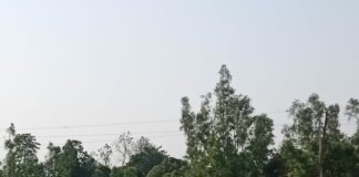 महरू टीम ने खजुरी को हराया:भटपुरवा प्रीमियम लीग के सेमीफाइनल में पहुंची