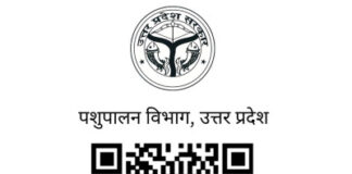 योगी सरकार पशुपालन को मजबूत करने को जारी किया वाट्शप चैनल, सीखें पशुपालन
