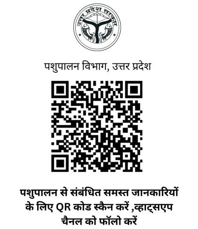 योगी सरकार पशुपालन को मजबूत करने को जारी किया वाट्शप चैनल, सीखें पशुपालन