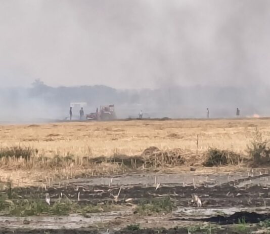साउघाट में खेत में गेहूं के डंठलों में लगी आग:रात में असामाजिक तत्वों ने लगाई आग, ग्रामीणों ने ट्रैक्टर से पाया काबू