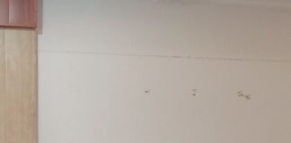 बांसी में जनगणना कर्मियों का प्रशिक्षण संपन्न तसीलदार रहे मौजूद:पहले चरण में गणना के नियमों और तकनीकी पहलुओं पर जोर