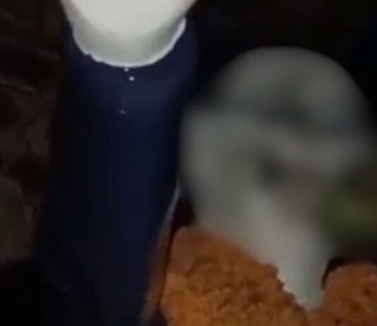 रामपुर खुर्द में अंबेडकर प्रतिमा को अपमानित करने का मामला:ग्रामीणों ने दी कार्रवाई की तहरीर