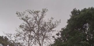 आंधी-तूफान से गर्मी से मिली राहत:खेसरहा क्षेत्र में अचानक बदला मौसम, किसानों को भी फायदा