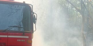 महराजगंज के फरेंदा जंगल में आग:लेहड़ा मंदिर मार्ग के पास लगी, फायर ब्रिगेड ने बुझाई