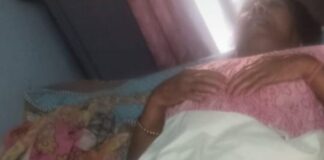 मिहींपुरवा में बंदरों का आतंक:कई लोग घायल, नगर पंचायत ईओ ने कार्रवाई का आश्वासन दिया