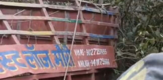 त्यूणी क्षेत्र में गहरी खाई में गिरा वाहन, चालक की मौके पर मौत