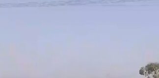 पैकोलिया में कई स्थानों पर लगी आग:ग्रामीणों ने तत्परता से बुझाई, बड़ा नुकसान टला