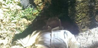 बस्ती में अज्ञात वाहन की टक्कर से स्कूटी सवार घायल:राहगीरों ने मोबाइल से दी परिजनों को सूचना, अस्पताल भेजा