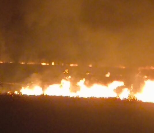 सिद्धार्थनगर में गेहूं कटाई के बाद खेतों में लगी आग:कई गांव प्रभावित, आसमान हुआ लाल; नियम बेअसर, पर्यावरण और सुरक्षा पर बढ़ा खतरा