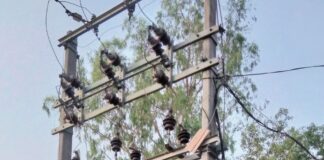 शंकरपुर गांव में चार दिन से बिजली गुल:ट्रांसफार्मर जलने से आपूर्ति ठप, ग्रामीण परेशान