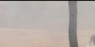 खेतों में लगी आग उपकेंद्र तक पहुंची:घुघली में समय रहते पाया काबू; बड़ा हादसा टला