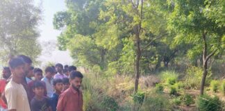 बस्ती में नर्सरी में मिला नवजात का शव:पुलिस ने जांच शुरू की, पोस्टमार्टम के लिए भेजा