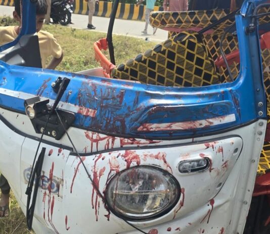 भारी गांव के पास सड़क हादसे में एक की मौत:ऑटो रिक्शा और भूसा ट्राली की टक्कर, दो घायल