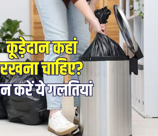 घर में कूड़ेदान रखने की सही जगह क्या है? वास्तु के इन नियमों का करें पालन, नहीं होगा धन संकट या कोई क्लेश! News Desk