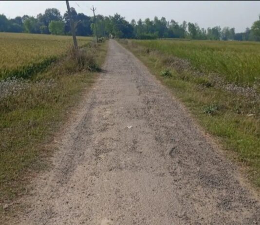 मुजैनिया गांव का मुख्य मार्ग जर्जर:आवागमन में परेशानी, ग्रामीणों ने की मरम्मत की मांग