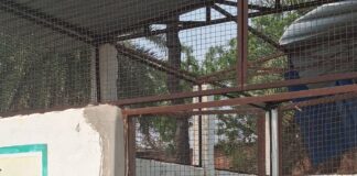 झुडिया बुजुर्ग में आरआरसी सेंटर जर्जर:3 साल में बदहाल हुआ लाखों का केंद्र, स्वच्छता अभियान फेल