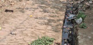 सिद्धार्थनगर में स्वच्छता अभियान बेअसर:बेलवनवा ग्राम पंचायत की नालियां कचरे से पटीं, ग्रामीणों को परेशानी