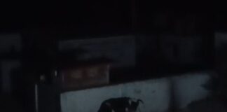 इमलिया करनपुर में तीन दिन से बिजली ठप:ट्रांसफार्मर जलने से ग्रामीण परेशान, विभाग पर लापरवाही का आरोप