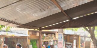 बनकटी में जनता दर्शन कार्यक्रम में सुनी गईं शिकायतें:अध्यक्ष प्रतिनिधि अरविंद पाल ने तत्काल निराकरण के दिए निर्देश