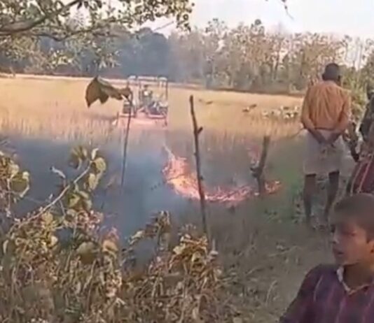 श्रावस्ती में गन्ने के खेत में आग:10 बीघा फसल जलकर राख, भारी नुकसान से किसान परेशान