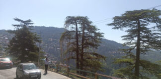 24 अप्रैल से बदलेगा हिमाचल में मौसम, आंधी और बिजली गिरने की चेतावनी