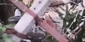 पिकअप में लगी आग, चालक ने कूदकर जान बचाई:कोठवा में बिजली पोल से टकराने के बाद हुआ हादसा; आपूर्ति बाधित