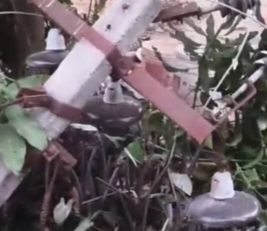 पिकअप में लगी आग, चालक ने कूदकर जान बचाई:कोठवा में बिजली पोल से टकराने के बाद हुआ हादसा; आपूर्ति बाधित