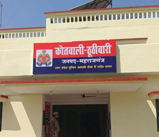 ठूठीबारी पुलिस पर केस दर्ज न करने का आरोप:घायल महिला के बेटे ने एसपी से न्याय की गुहार लगाई, जांच जारी