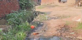 पिपरा गांव में बारिश के बाद मुख्य सड़क पर जलभराव:ग्रामीणों, स्कूली बच्चों को आवागमन में भारी परेशानी