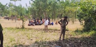 शावक संग तेंदुआ दिखने से इलाके में दहशत:वन विभाग ने शुरू किया सर्च ऑपरेशन, ग्रामीणों को सतर्क रहने की अपील