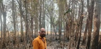 बस्ती में भीषण आग से सागौन का बाग जला:ग्रामीणों ने बोरिंग चलाकर आग पर पाया काबू, बड़ा नुकसान टला